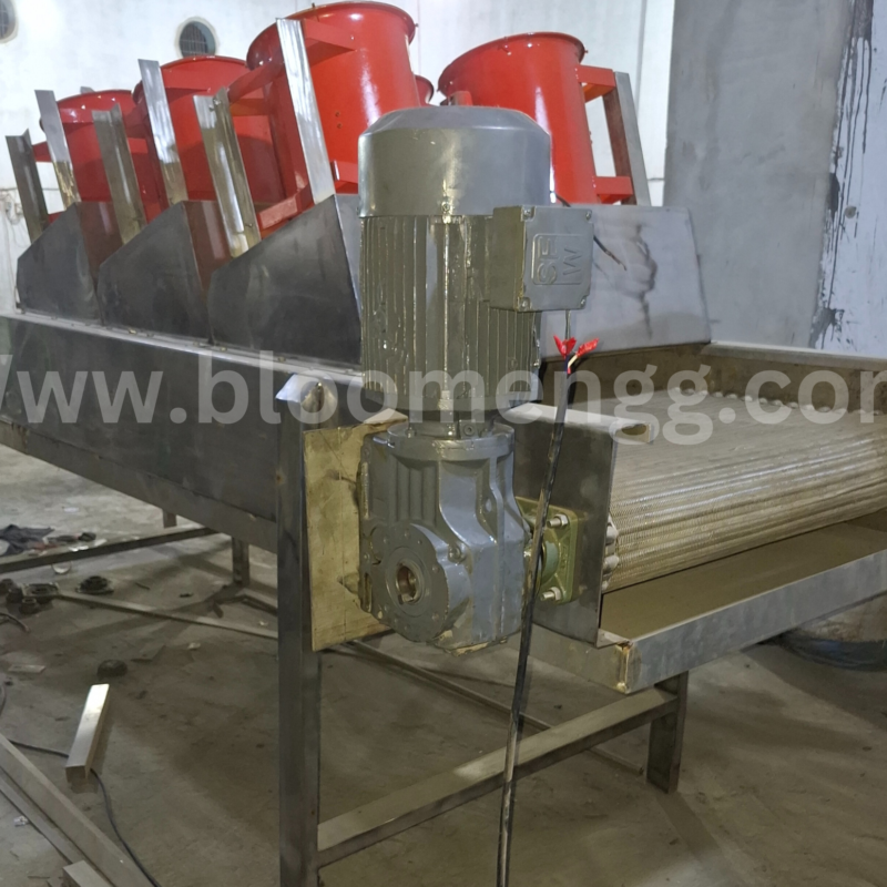 Fruit and Vegetable Conveying Air Dewatering conveyor